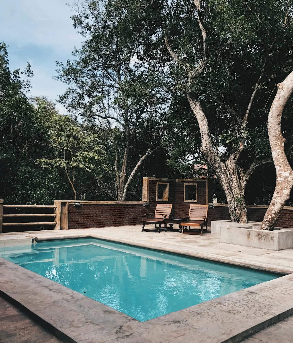 Small rectangular pool surrounded by stone paving and trees