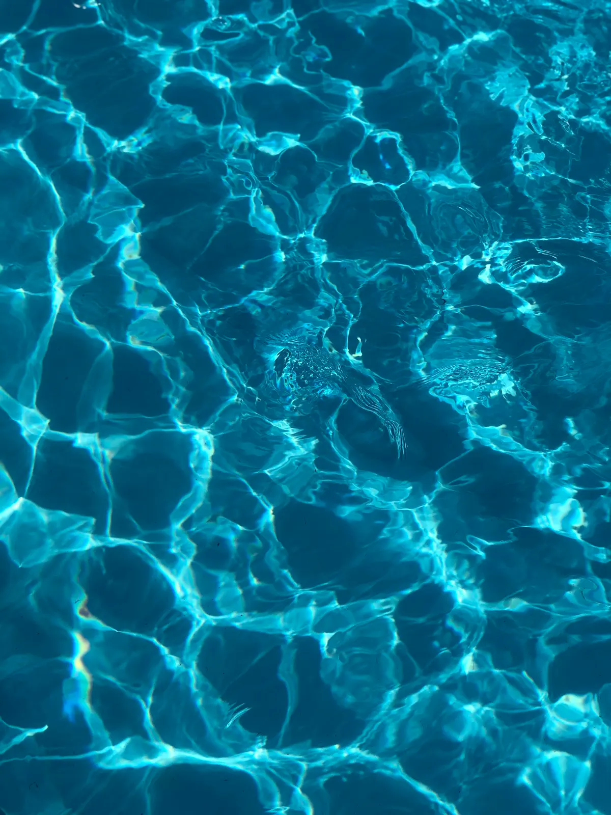 Sunlight patterns across deep blue swimming pool water
